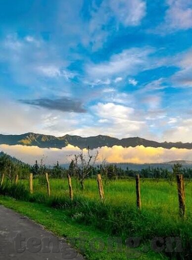 91av麻豆-解构91av麻豆现象，网络文化的微缩视角