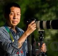 91av那个麻豆经济在哪里下载-探讨91av麻豆经济下载的合法性与道德考量