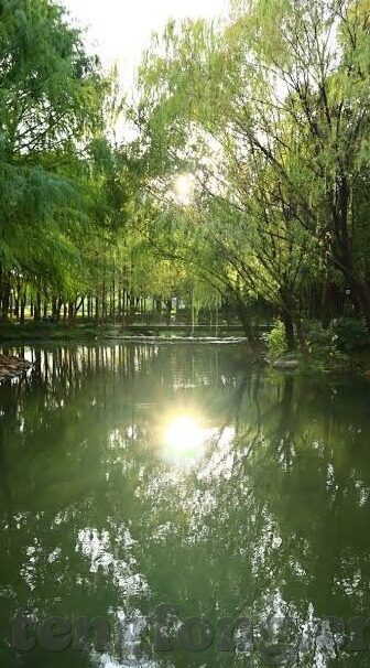 国产高清一区二区三区-国产高清影视的多元化探索，一区、二区、三区的精彩纷呈