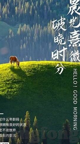 果冻传媒TV董小宛-董小宛，果冻传媒TV的璀璨新星