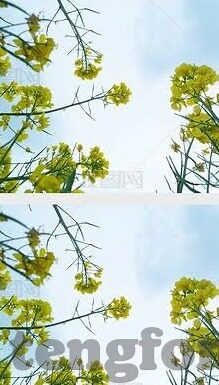 麻豆av专区-麻豆AV专区的多元性与文化透视