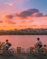 麻豆传媒映画app免费下载-麻豆传媒映画app，免费下载的娱乐新选择