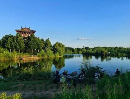 麻豆果冻传媒系列视频-麻豆果冻传媒系列视频，网络文化的多元视角与影响
