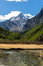 免费成人性视频-成人世界的一扇窗，免费成人性视频的探讨