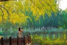 欧美成人爱爱视频-欧美成人爱爱视频，文化、艺术与个人选择的交汇点