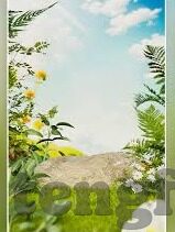糖心视频私密版app-揭秘网络隐私，确保安全性大于好奇心