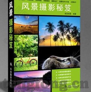 武则天伦理片-武则天，伦理片中的权力与性别博弈